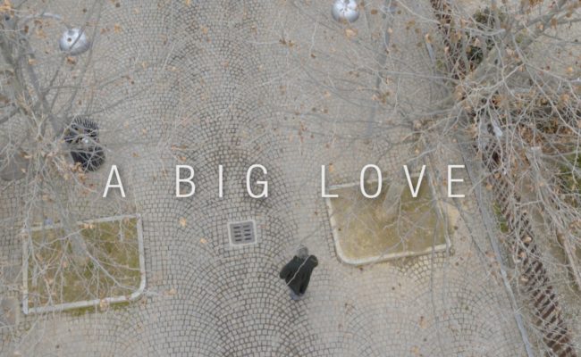 A Big Love copy