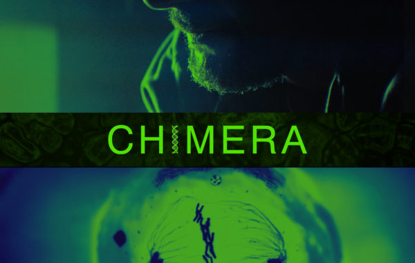 CHIMERA