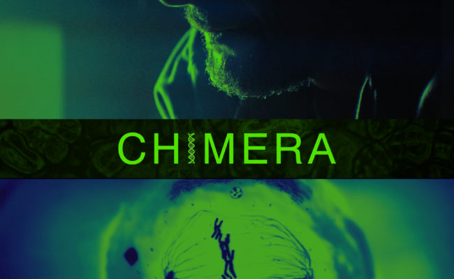 Chimera_Z2_5x7