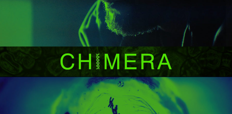 CHIMERA