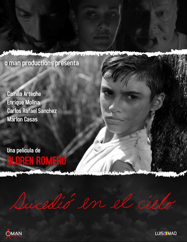 Poster AFICHE_SUCEDI_EN_EL_CIELO_OFICIAL