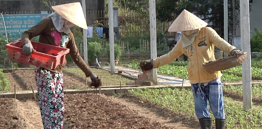 Camouflage: Vietnamese Brush Strokes With History