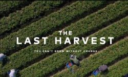 The Last Harvest: You Can’t Grow Without Change