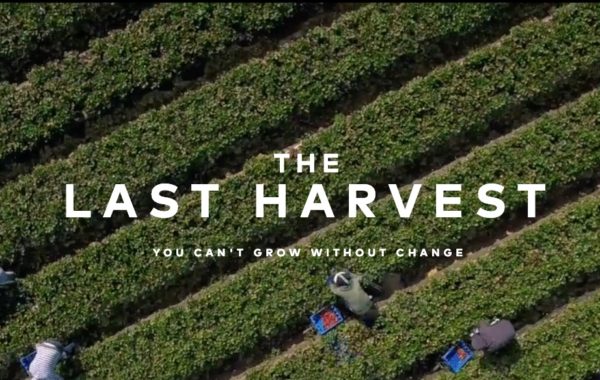 The Last Harvest: You Can’t Grow Without Change