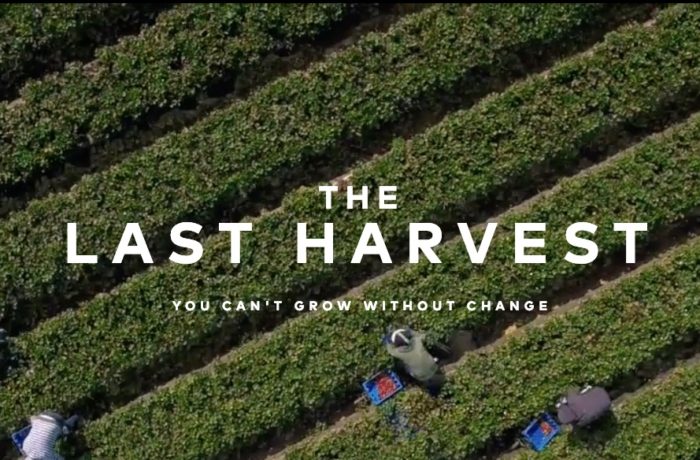 The Last Harvest: You Can’t Grow Without Change