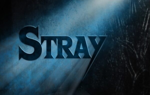 Stray