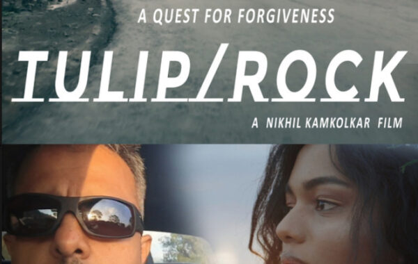 Tulip/Rock