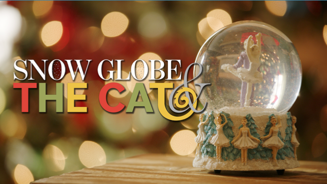 Snow Globe & The Cat11