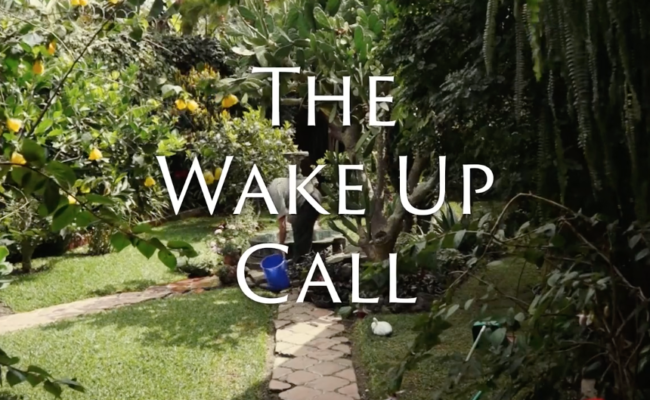 The Wake up call2