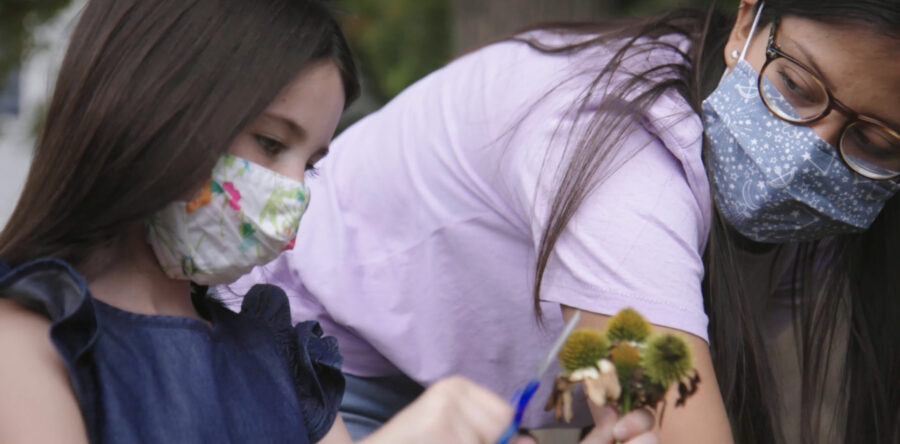 Growing Through COVID-19