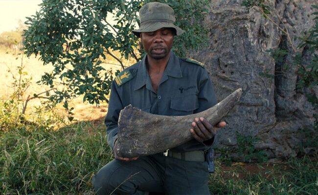 Anton Mzimba with Horn from RHINO MAN