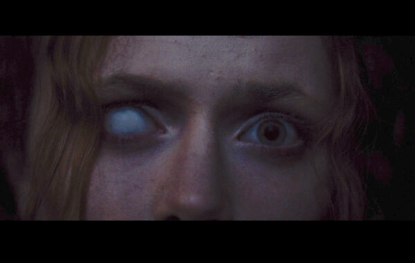 Night Is For Screaming