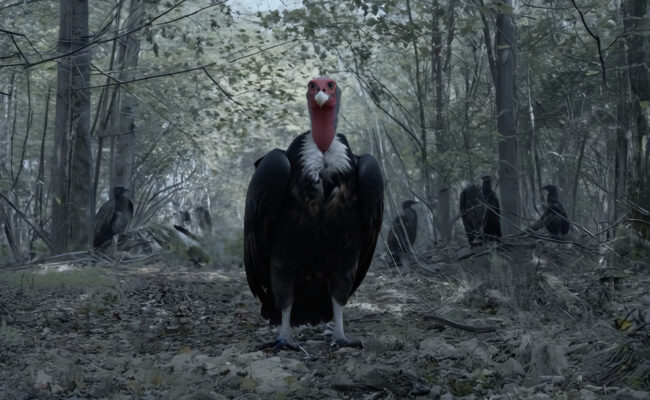 Photo 5 Screenshot_2025-12-23_at_3.06.48_PM